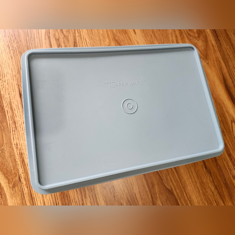 Vintage Tupperware Tuppercraft Organizer w/ Lid 1421-6 Blue 4 Piece Set Craft